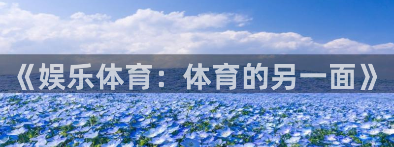 新航娱乐官网：《娱乐体育：体育的另一面》