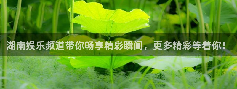 新航娱乐登录地址：湖南娱乐频道带你畅享精彩瞬间，更多精彩等着你！