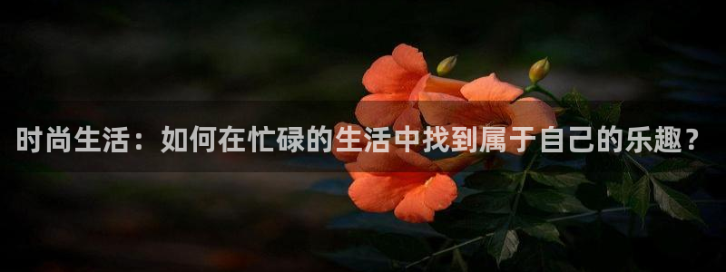 新航娱乐：时尚生活：如何在忙碌的生活中找到属于自己的乐趣？
