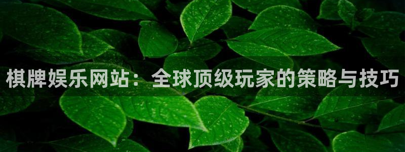 新航娱乐：棋牌娱乐网站：全球顶级玩家的策略与技巧