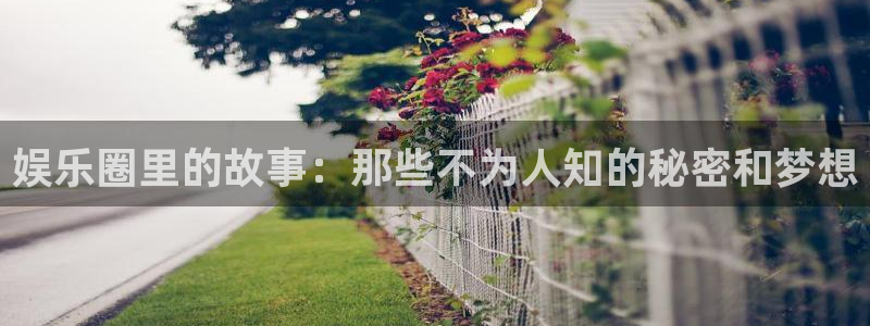 新航娱乐登录地址：娱乐圈里的故事：那些不为人知的秘密和梦想
