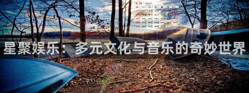 新航娱乐官网：星聚娱乐：多元文化与音乐的奇妙世界